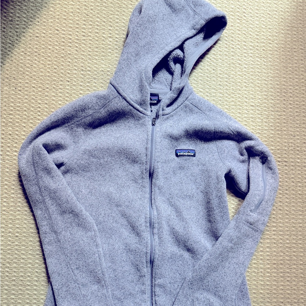 Patagonia Zip Hoodie